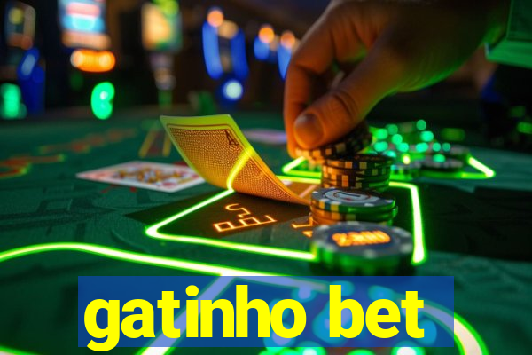 gatinho bet